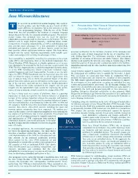 Java Microarchitectures