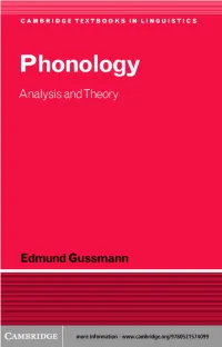 Phonology: Analysis and Theory