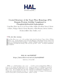 (PX) Domain Protein Grd19p Complexed to Phosphatidylinositol-3-Phosphate