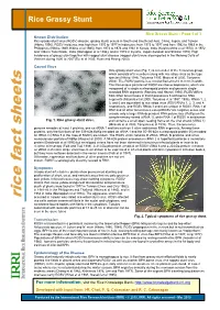 Rice Fact Sheet