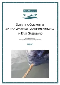Ad Hoc Working Group on Narwhal in East Greenland