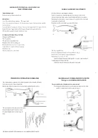 Human Functional Anatomy 213 the Upper Limb Early Limb Development