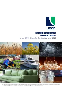 Pdf Extended Consolidated Quarterly Report of The