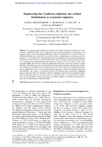 The Earliest Bioturbators As Ecosystem Engineers
