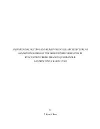 Depositional Setting and Reservoir-Scale