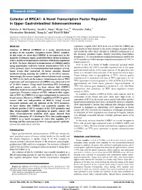 Cofactor of BRCA1: a Novel Transcription Factor Regulator in Upper Gastrointestinal Adenocarcinomas
