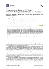 Comprehensive History of CSP Genes: Evolution, Phylogenetic Distribution and Functions