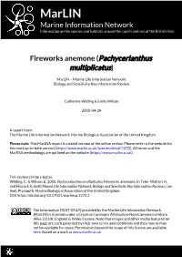 Download PDF Version