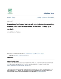Evaluation of Preformed Particle Gels Penetration and Propagation Behavior for a Conformance Control Treatment in Partially Open Conduits