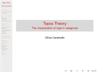 Topos Theory
