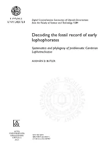 Decoding the Fossil Record of Early Lophophorates