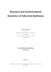 Structure and Conformational Dynamics of Fatty Acid Synthases