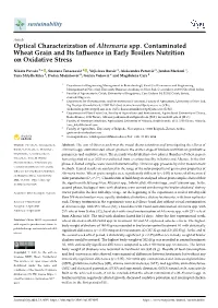 Optical Characterization of Alternaria Spp. Contaminated Wheat Grain and Its Inﬂuence in Early Broilers Nutrition on Oxidative Stress