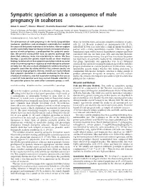 Sympatric Speciation As a Consequence of Male Pregnancy in Seahorses