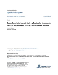Cougar Exploitation Levels in Utah: Implications for Demographic Structure, Metapopulation Dynamics, and Population Recovery