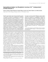 Sympathoexcitation by Bradykinin Involves Ca2+