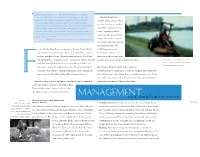 06 Management