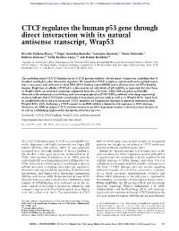 CTCF Regulates the Human P53 Gene Through Direct Interaction with Its Natural Antisense Transcript, Wrap53