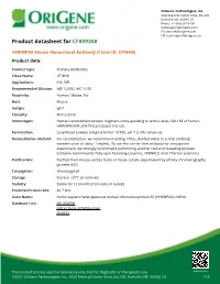 HNRNPA0 Mouse Monoclonal Antibody [Clone ID: OTI8H8] Product Data