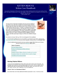 Kitten Care Handbook