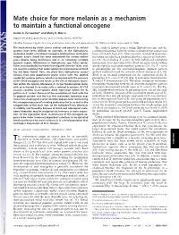 Mate Choice for More Melanin As a Mechanism to Maintain a Functional Oncogene
