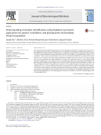 Understanding Molecular Identification and Polyphasic