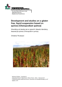 Chenopodium Quinoa)