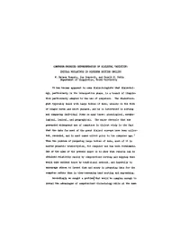 Computer-Produced Representation of Dialectal