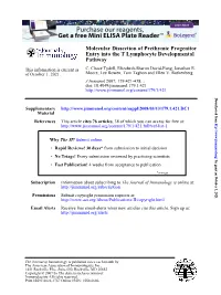 Pathway Entry Into the T Lymphocyte Developmental Molecular