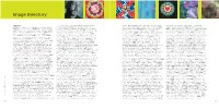 Image Directory