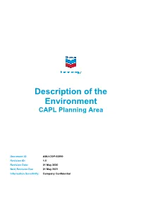 Template for Guideline