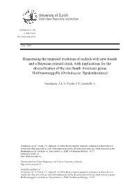 Reassessing the Temporal Evolution of Orchids with New Fossils and A