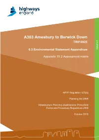 A303 Amesbury to Berwick Down Applications Appendix 15.2 Assessment Matrix