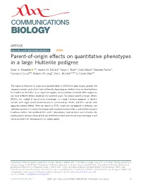 Parent-Of-Origin Effects on Quantitative Phenotypes in a Large Hutterite Pedigree