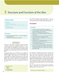 Structure and Function of the Skin