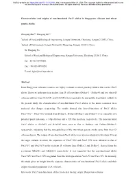 Characteristics and Origins of Non-Functional Pm21 Alleles in Dasypyrum Villosum and Wheat