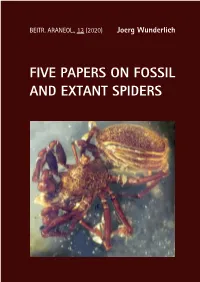 Five Papers on Fossil and Extant Spiders