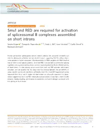 Smu1 and RED Are Required for Activation of Spliceosomal B Complexes Assembled on Short Introns