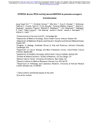 STRIPAK Directs PP2A Activity Toward MAP4K4 to Promote Oncogenic Transformation