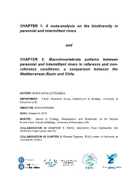 A Meta-Analysis on the Biodiversity in Perennial and Intermittent Rivers