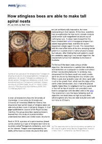 How Stingless Bees Are Able to Make Tall Spiral Nests 29 July 2020, by Bob Yirka