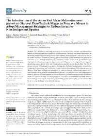 The Introduction of the Asian Red Algae Melanothamnus Japonicus