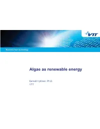 Algae As Renewable Energy Source – Potentially High Yield, Flexible End Environmentally Sound Source of Energy ƒ Suitable Also for Brackish and Salty Waters