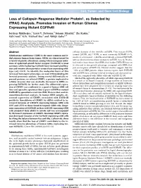 Full Text (PDF)