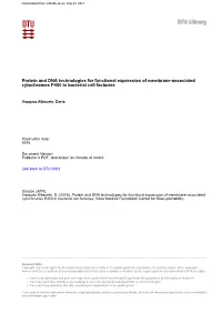 Protein and DNA Technologies for Functional Expression of Membrane-Associated Cytochromes P450 in Bacterial Cell Factories