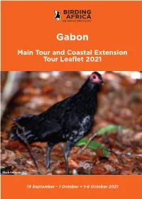 Tour and Coastal Extension Tour Leaflet 2021 © Tasso Leventis © Tasso