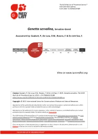 Genetta Servalina, Servaline Genet