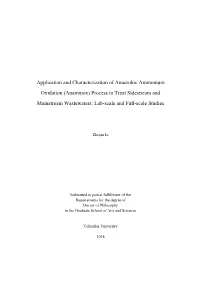 Anammox) Process to Treat Sidestream and Mainstream Wastewaters: Lab-Scale and Full-Scale Studies