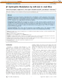 B1-Syntrophin Modulation by Mir-222 in Mdx Mice