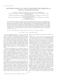 Identifying Fitness and Optimal Life-History Strategies for an Asexual Filamentous Fungus